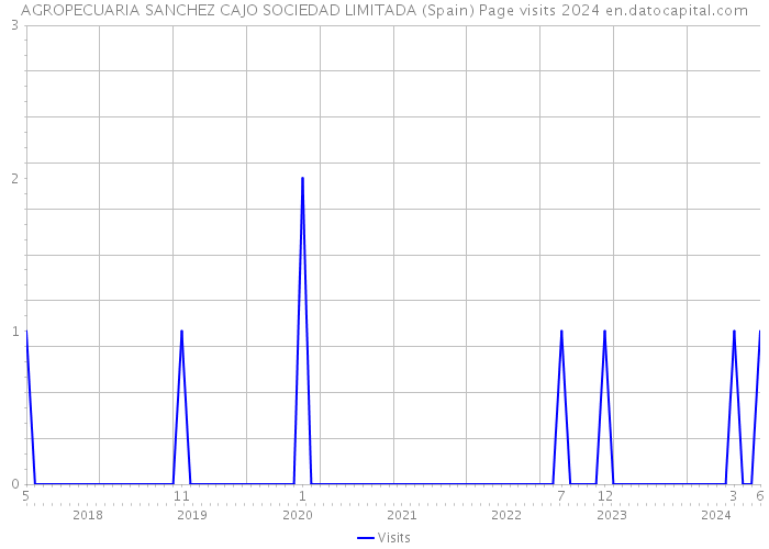AGROPECUARIA SANCHEZ CAJO SOCIEDAD LIMITADA (Spain) Page visits 2024 