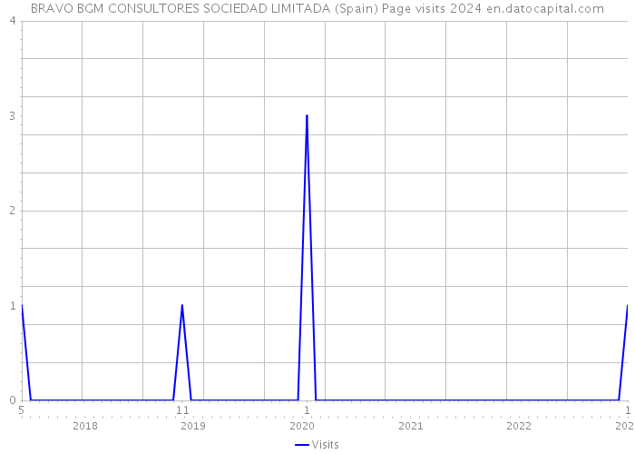 BRAVO BGM CONSULTORES SOCIEDAD LIMITADA (Spain) Page visits 2024 