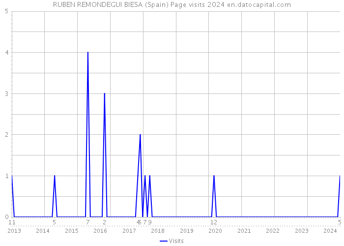 RUBEN REMONDEGUI BIESA (Spain) Page visits 2024 