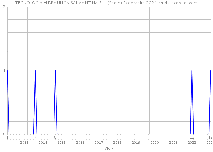 TECNOLOGIA HIDRAULICA SALMANTINA S.L. (Spain) Page visits 2024 