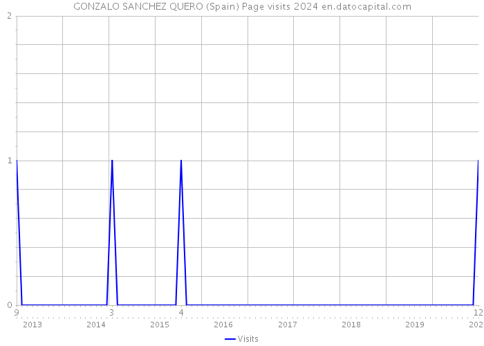 GONZALO SANCHEZ QUERO (Spain) Page visits 2024 