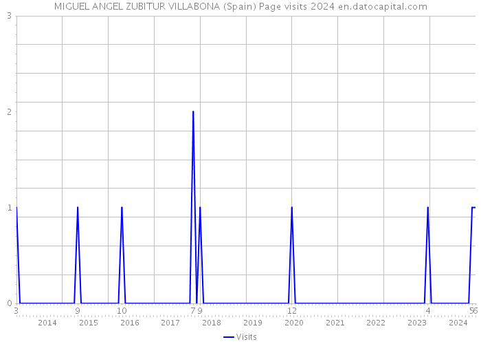 MIGUEL ANGEL ZUBITUR VILLABONA (Spain) Page visits 2024 