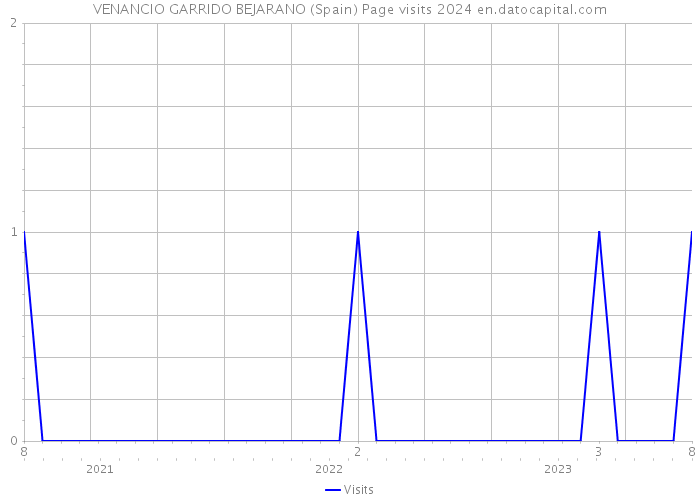 VENANCIO GARRIDO BEJARANO (Spain) Page visits 2024 