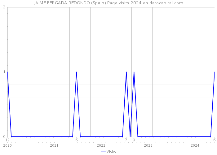 JAIME BERGADA REDONDO (Spain) Page visits 2024 