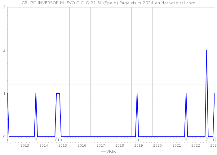 GRUPO INVERSOR NUEVO CICLO 21 SL (Spain) Page visits 2024 