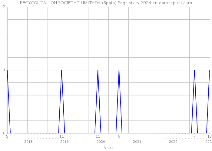 RECYCOL TALLON SOCIEDAD LIMITADA (Spain) Page visits 2024 
