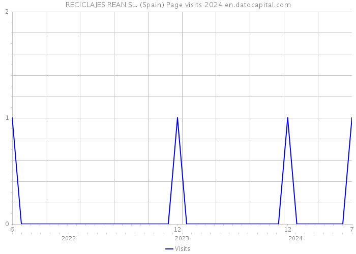 RECICLAJES REAN SL. (Spain) Page visits 2024 