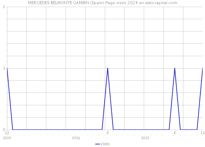 MERCEDES BELMONTE GAMBIN (Spain) Page visits 2024 