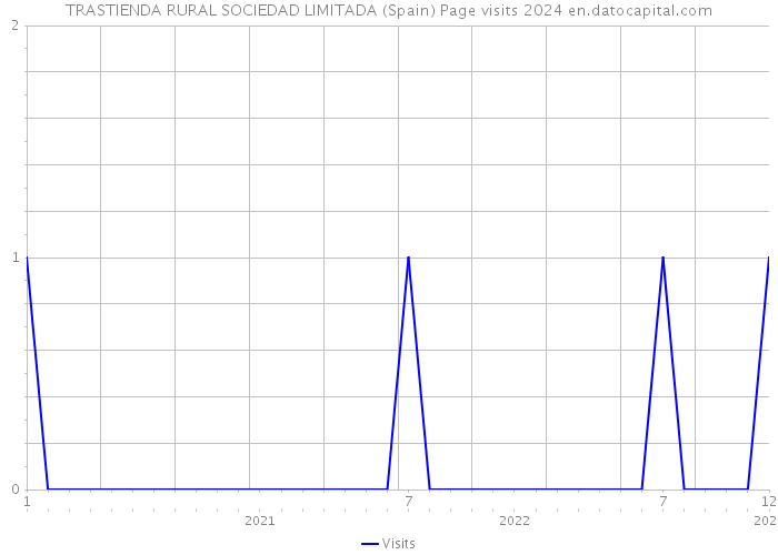TRASTIENDA RURAL SOCIEDAD LIMITADA (Spain) Page visits 2024 