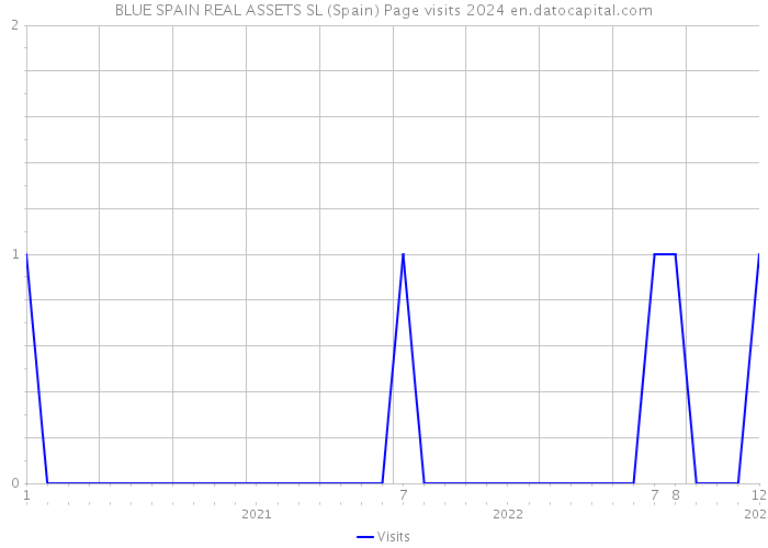 BLUE SPAIN REAL ASSETS SL (Spain) Page visits 2024 