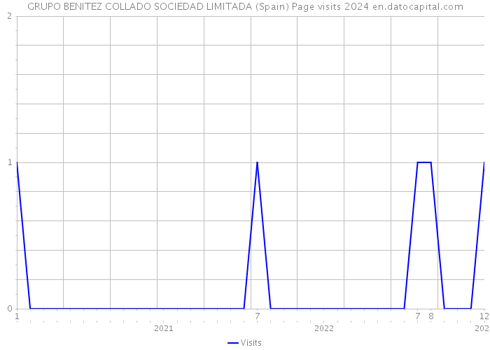 GRUPO BENITEZ COLLADO SOCIEDAD LIMITADA (Spain) Page visits 2024 