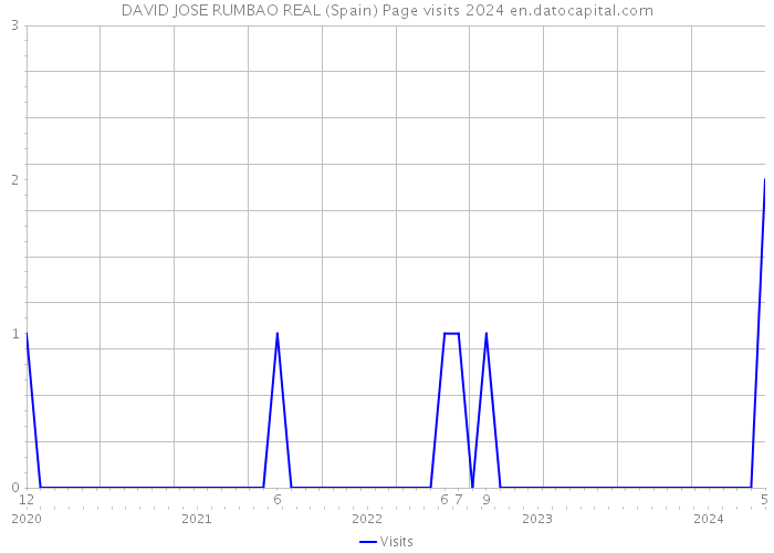 DAVID JOSE RUMBAO REAL (Spain) Page visits 2024 