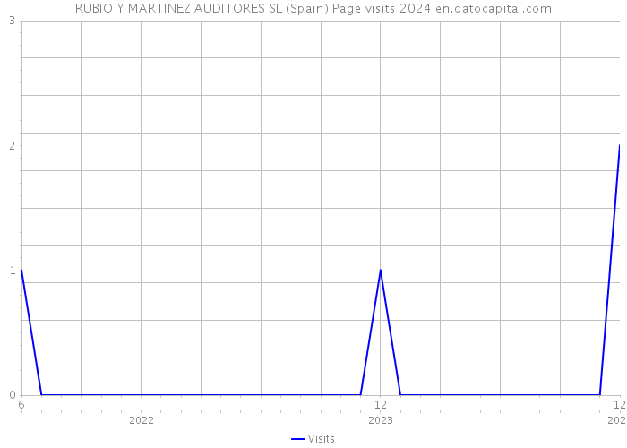 RUBIO Y MARTINEZ AUDITORES SL (Spain) Page visits 2024 