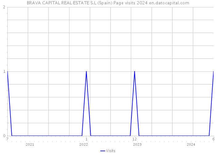 BRAVA CAPITAL REAL ESTATE S.L (Spain) Page visits 2024 