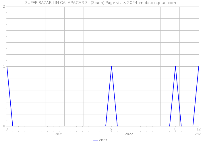 SUPER BAZAR LIN GALAPAGAR SL (Spain) Page visits 2024 