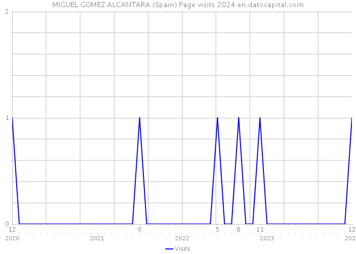 MIGUEL GOMEZ ALCANTARA (Spain) Page visits 2024 