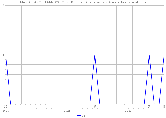 MARIA CARMEN ARROYO MERINO (Spain) Page visits 2024 