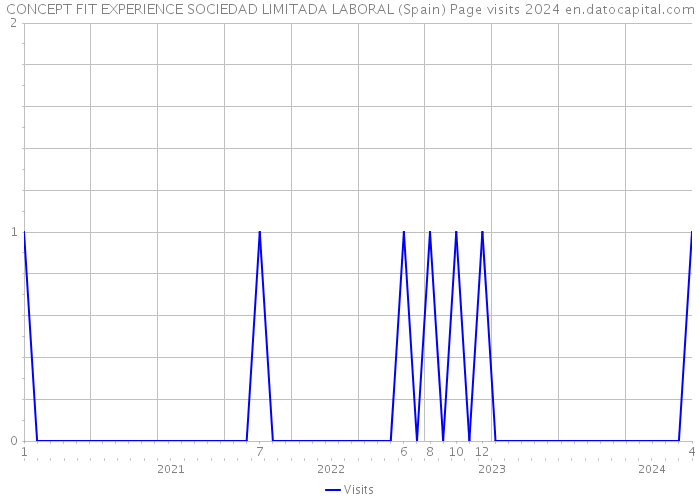 CONCEPT FIT EXPERIENCE SOCIEDAD LIMITADA LABORAL (Spain) Page visits 2024 