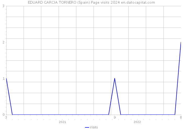 EDUARD GARCIA TORNERO (Spain) Page visits 2024 