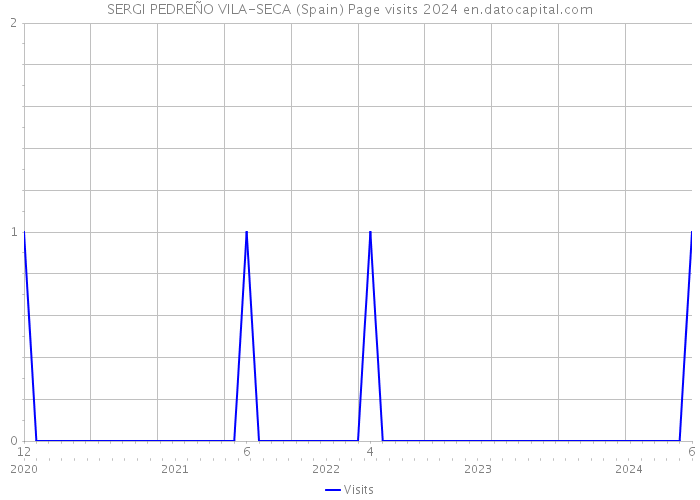 SERGI PEDREÑO VILA-SECA (Spain) Page visits 2024 