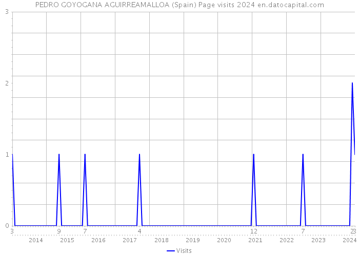 PEDRO GOYOGANA AGUIRREAMALLOA (Spain) Page visits 2024 
