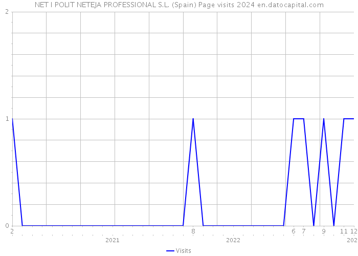NET I POLIT NETEJA PROFESSIONAL S.L. (Spain) Page visits 2024 