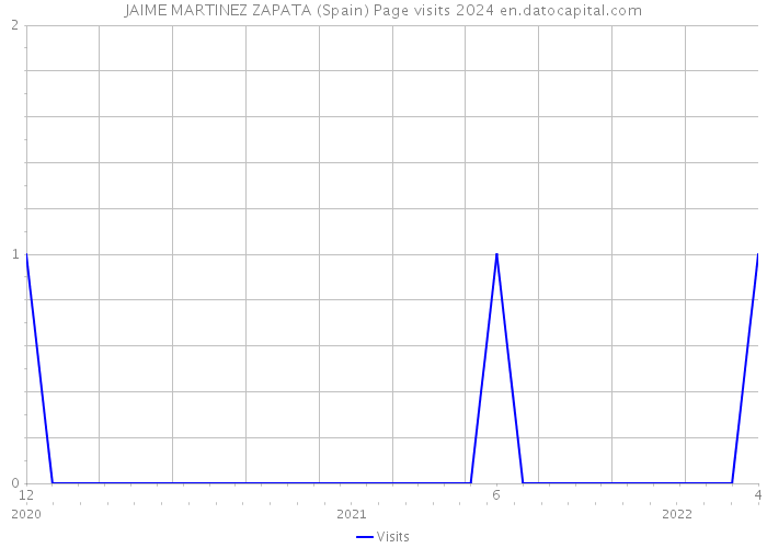 JAIME MARTINEZ ZAPATA (Spain) Page visits 2024 