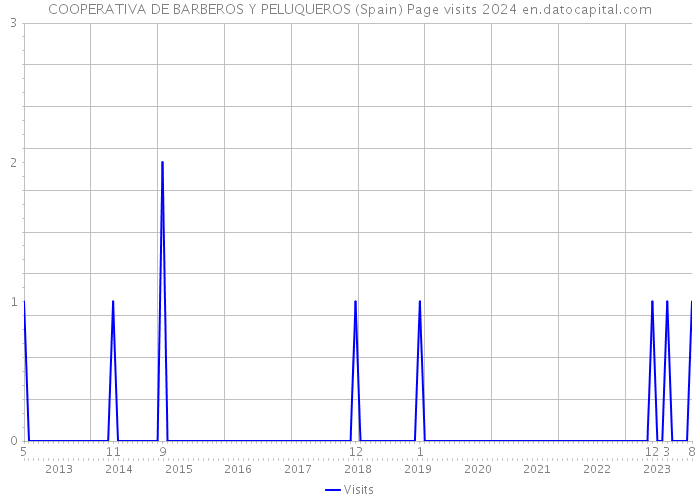 COOPERATIVA DE BARBEROS Y PELUQUEROS (Spain) Page visits 2024 