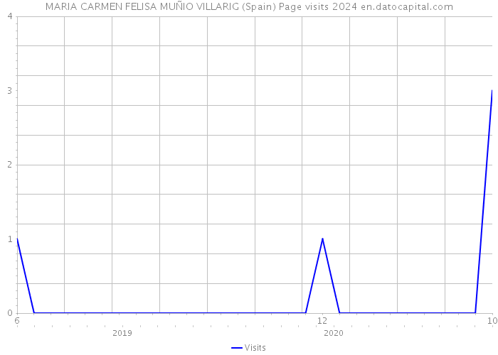 MARIA CARMEN FELISA MUÑIO VILLARIG (Spain) Page visits 2024 