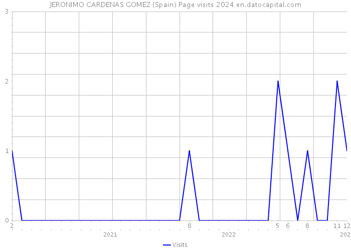 JERONIMO CARDENAS GOMEZ (Spain) Page visits 2024 