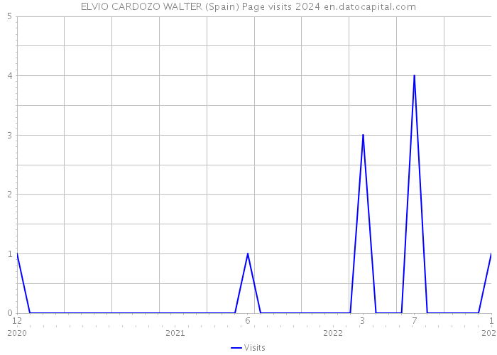 ELVIO CARDOZO WALTER (Spain) Page visits 2024 