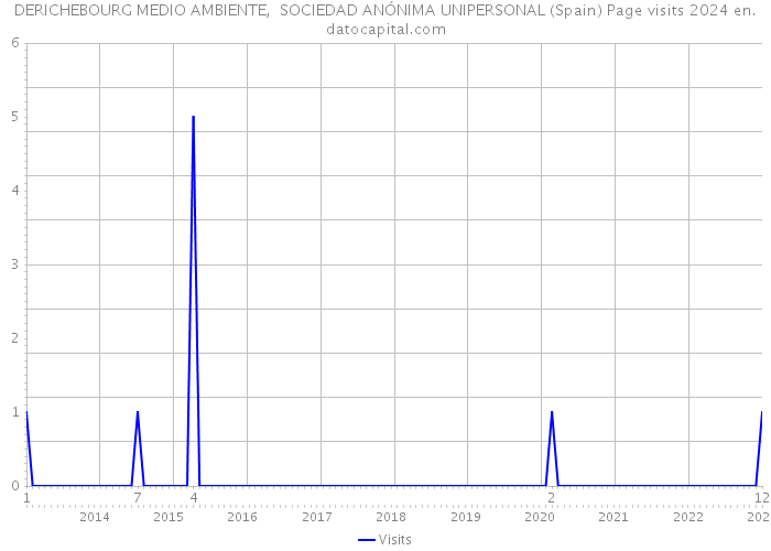 DERICHEBOURG MEDIO AMBIENTE, SOCIEDAD ANÓNIMA UNIPERSONAL (Spain) Page visits 2024 