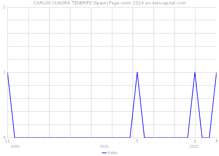 CARLOS CUADRA TENERIFE (Spain) Page visits 2024 