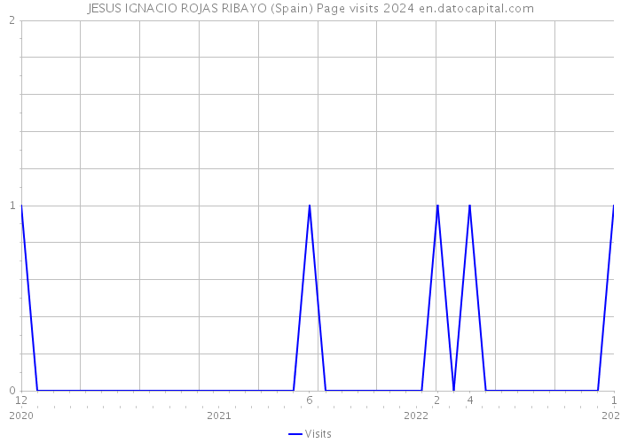 JESUS IGNACIO ROJAS RIBAYO (Spain) Page visits 2024 