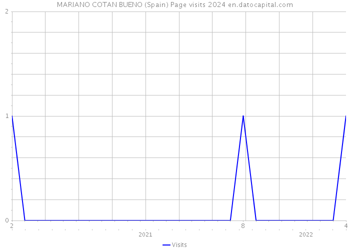 MARIANO COTAN BUENO (Spain) Page visits 2024 