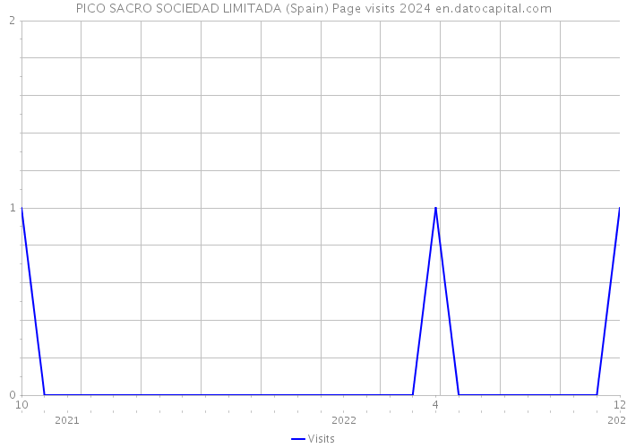 PICO SACRO SOCIEDAD LIMITADA (Spain) Page visits 2024 