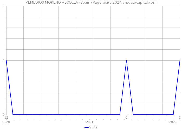 REMEDIOS MORENO ALCOLEA (Spain) Page visits 2024 