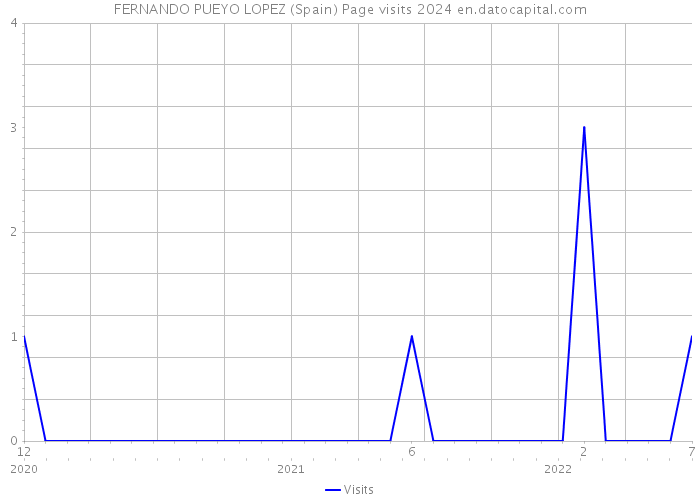 FERNANDO PUEYO LOPEZ (Spain) Page visits 2024 