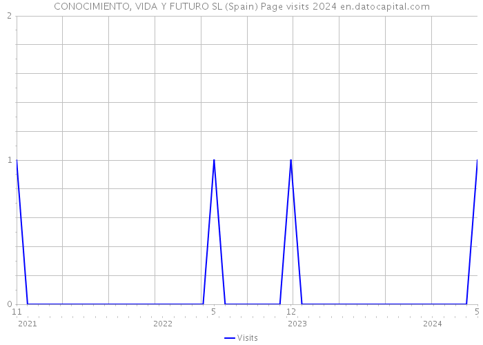 CONOCIMIENTO, VIDA Y FUTURO SL (Spain) Page visits 2024 