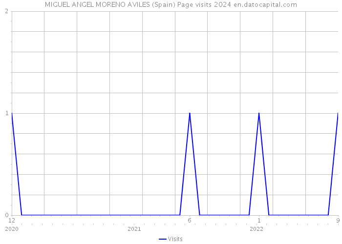 MIGUEL ANGEL MORENO AVILES (Spain) Page visits 2024 
