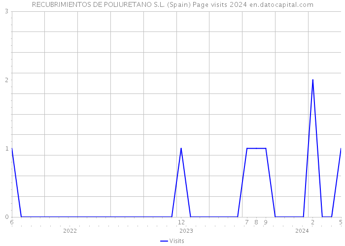 RECUBRIMIENTOS DE POLIURETANO S.L. (Spain) Page visits 2024 