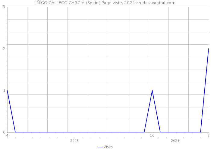 IÑIGO GALLEGO GARCIA (Spain) Page visits 2024 