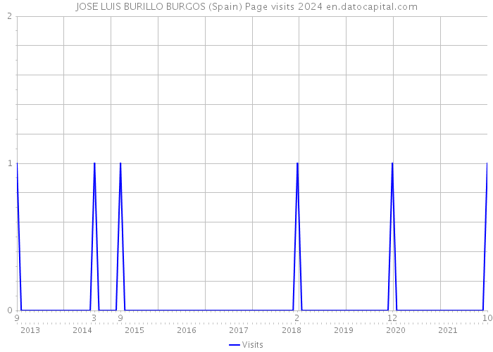 JOSE LUIS BURILLO BURGOS (Spain) Page visits 2024 