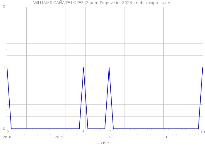 WILLIAMS CAÑATE LOPEZ (Spain) Page visits 2024 