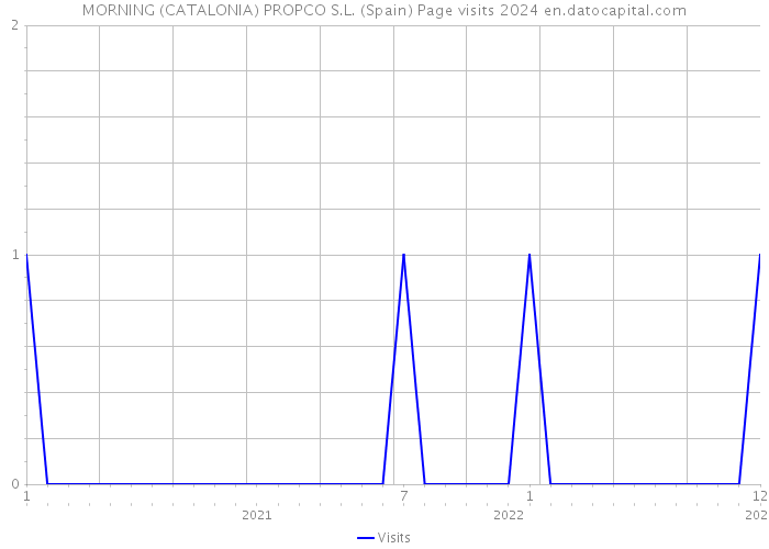 MORNING (CATALONIA) PROPCO S.L. (Spain) Page visits 2024 