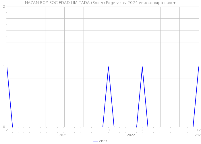 NAZAN ROY SOCIEDAD LIMITADA (Spain) Page visits 2024 