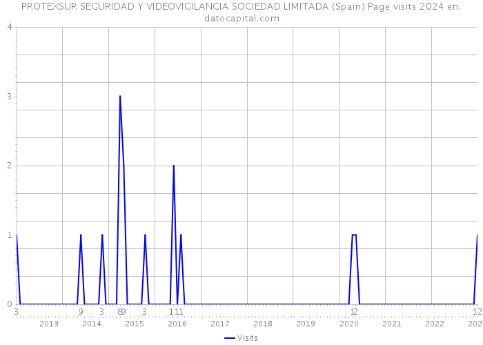 PROTEXSUR SEGURIDAD Y VIDEOVIGILANCIA SOCIEDAD LIMITADA (Spain) Page visits 2024 