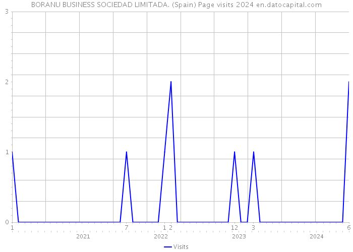 BORANU BUSINESS SOCIEDAD LIMITADA. (Spain) Page visits 2024 