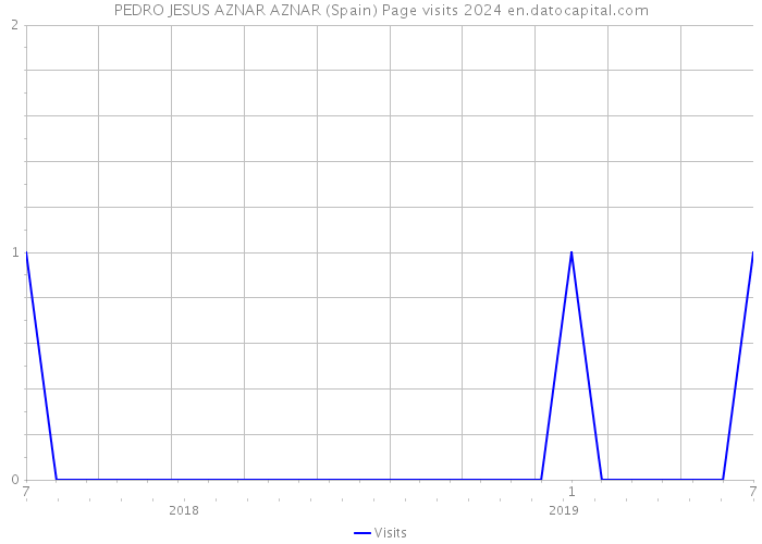 PEDRO JESUS AZNAR AZNAR (Spain) Page visits 2024 