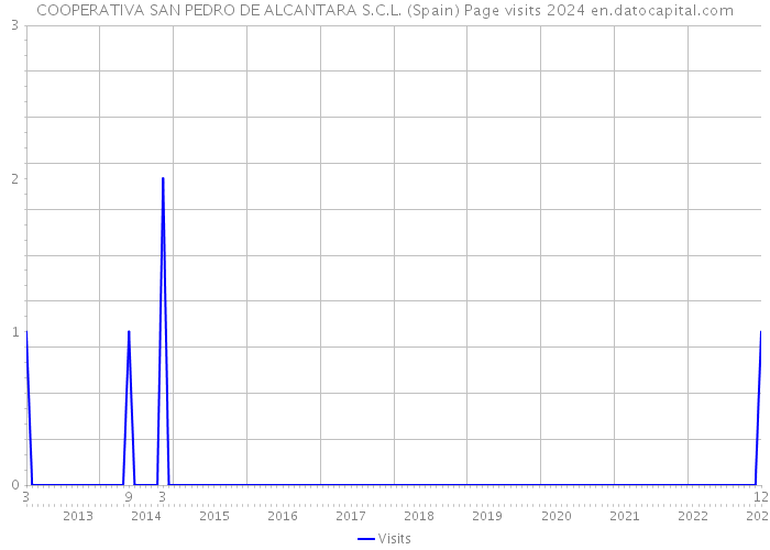 COOPERATIVA SAN PEDRO DE ALCANTARA S.C.L. (Spain) Page visits 2024 